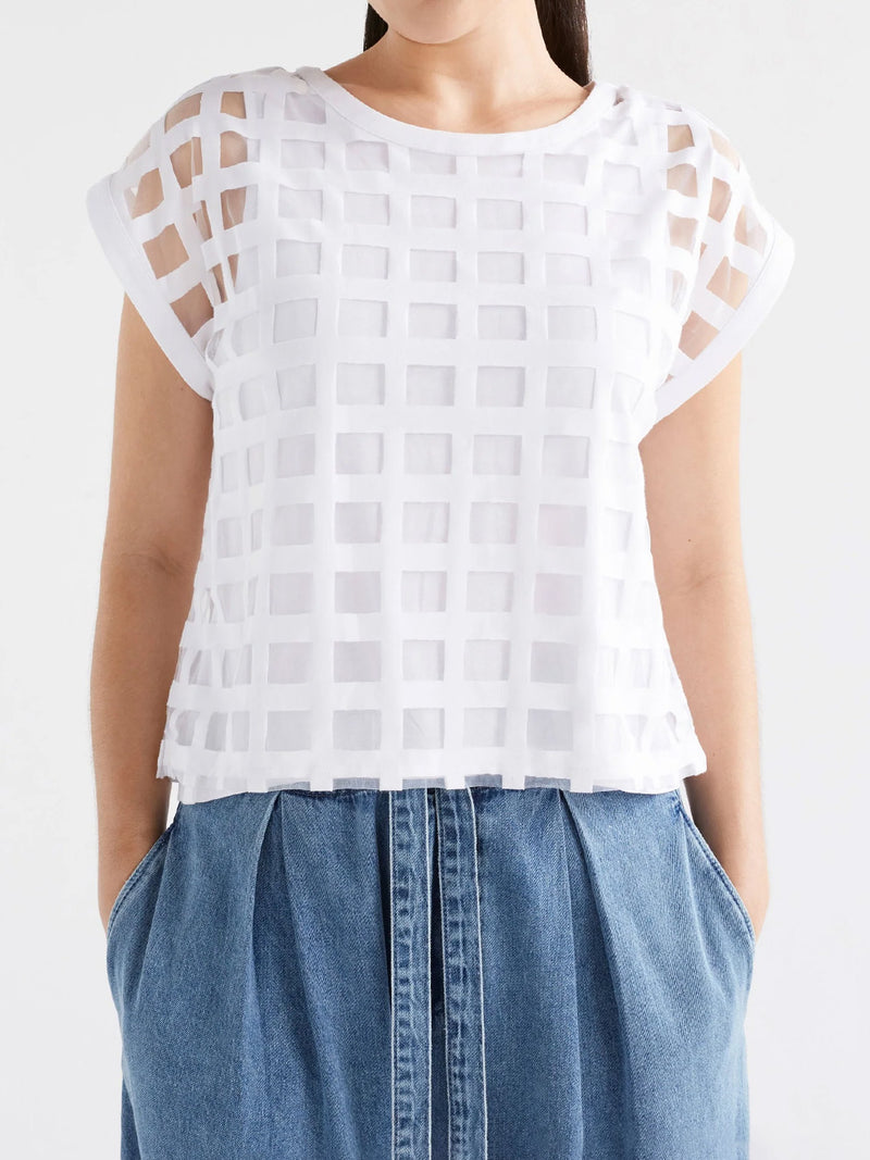 ELK GRID BURNOUT TOP